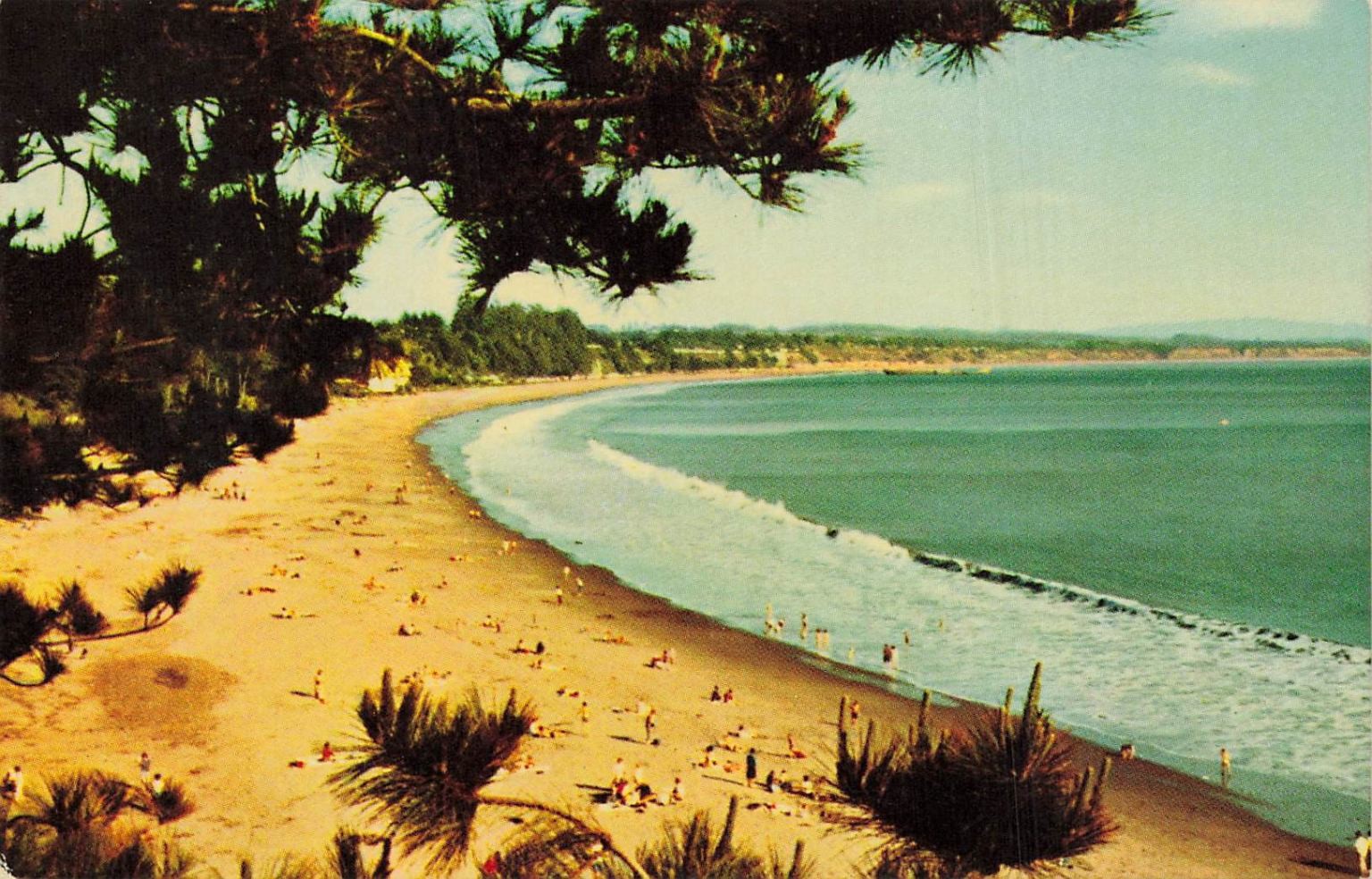 New Brighton State Beach Aptos CA Mirro-Krome Postcard 1960s California Coast New Brighton State Beach Aptos CA Mirro-Krome Postcard 1960s California Coast