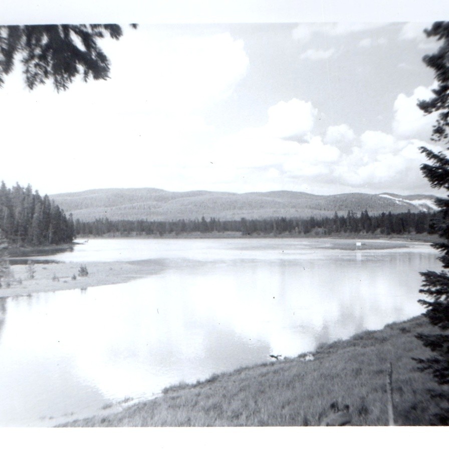 c1930 Yellowstone River Landscape Snapshot Photo Pine Trees Wyo. National Park c1930 Yellowstone River Landscape Snapshot Photo Pine Trees Wyo. National Park