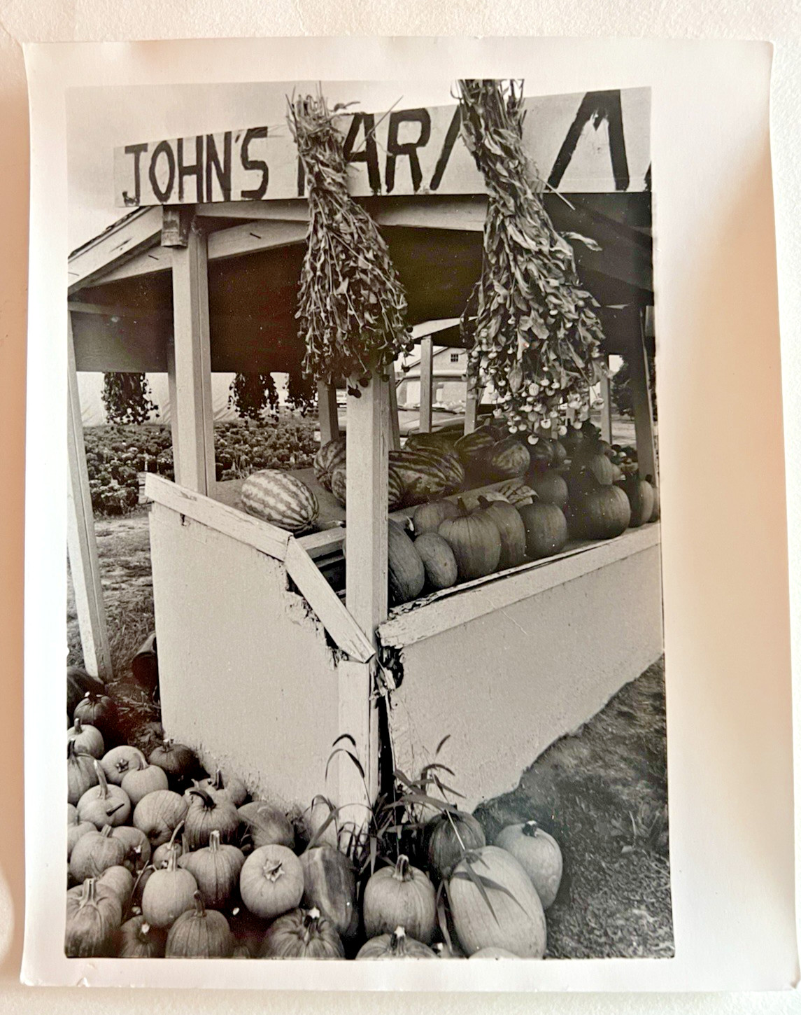 Vintage 1970\'s Black & White Glossy Photo Of  John\'s Roadside Farm Produce Stand