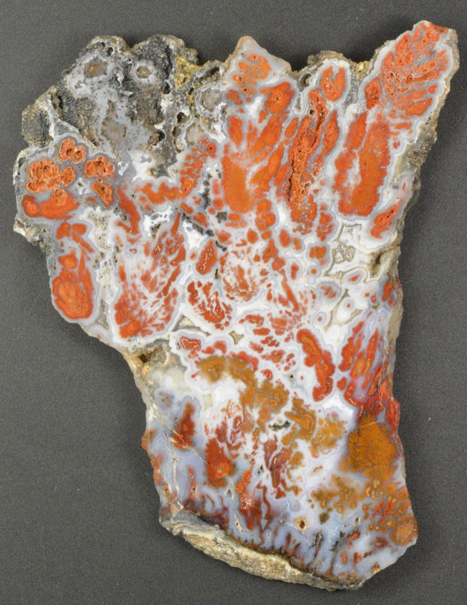 Wingate Plume Agate, Death Valley, California, 4.5x3.6x0.25\ Wingate Plume Agate, Death Valley, California, 4.5x3.6x0.25\