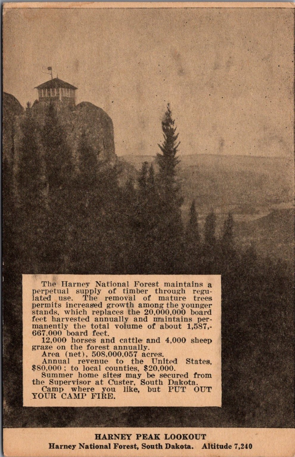Harney Peak Lookout South Dakota Harney National Forest Vintage Postcard Harney Peak Lookout South Dakota Harney National Forest Vintage Postcard