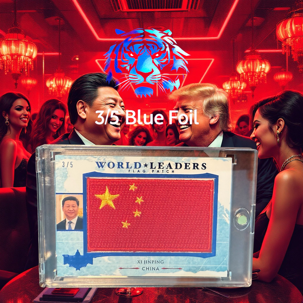2024 DECISION Xi JINPING WORLD LEADERS FLAG PATCH BLUE FOIL 3/5 Lucky Number 3