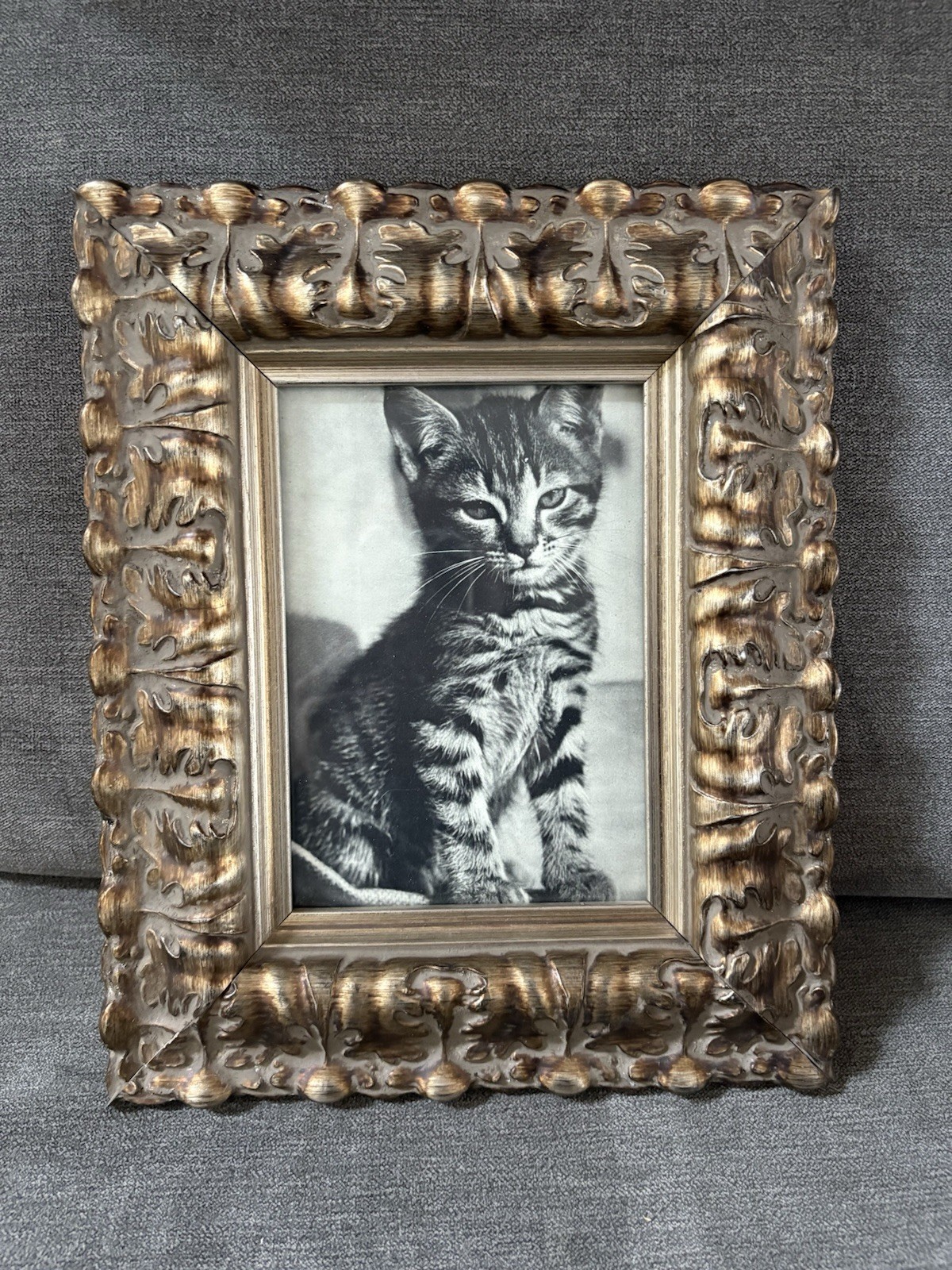 Vintage Cat Ephemera Newspaper Magazine Clipping Framed Art