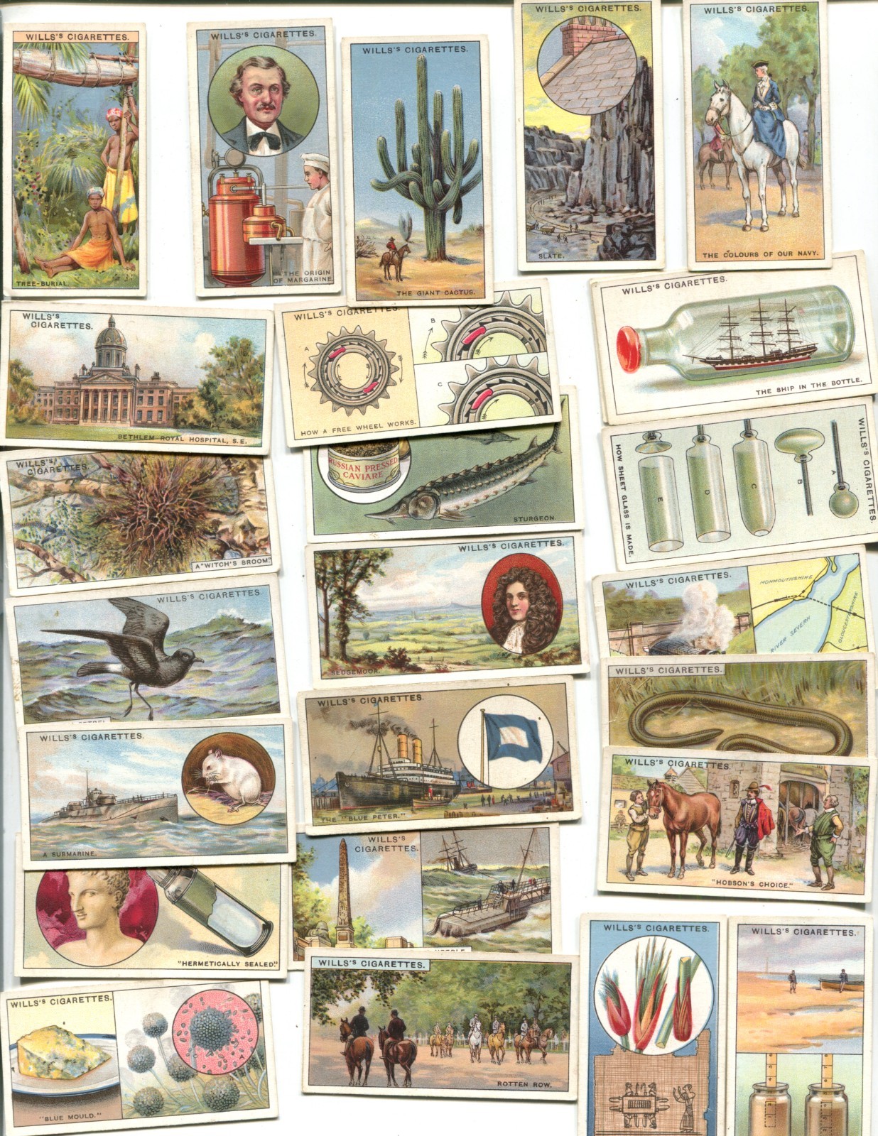 1933 W. D. & H. O. WILLS DO YOU KNOW? 4TH SERIES 25 DIFFERENT TOBACCO CARD LOT