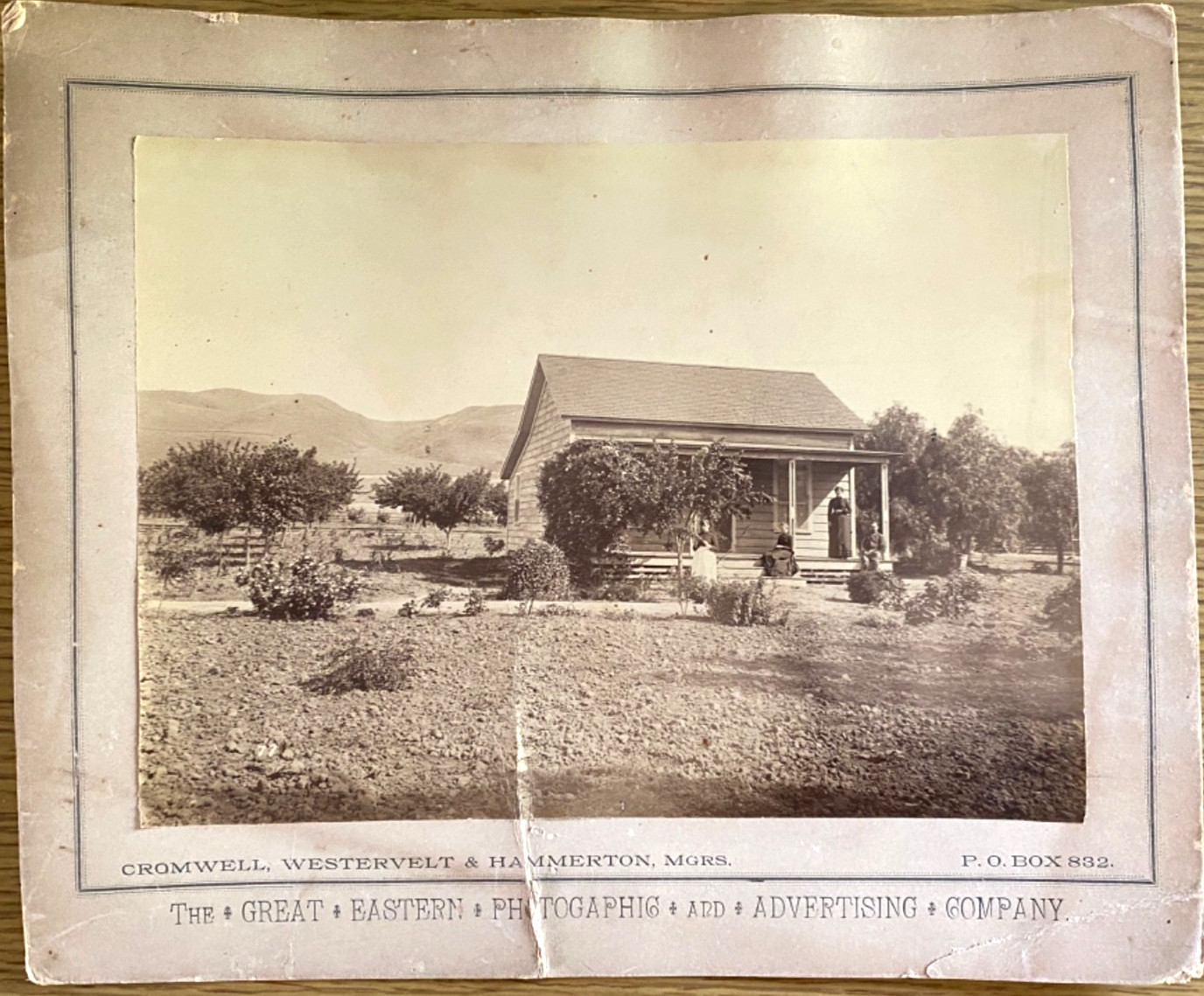 1888 LOS ANGELES, CALIFORNIA AREA HOMESTEAD antique 9x11 mounted photograph