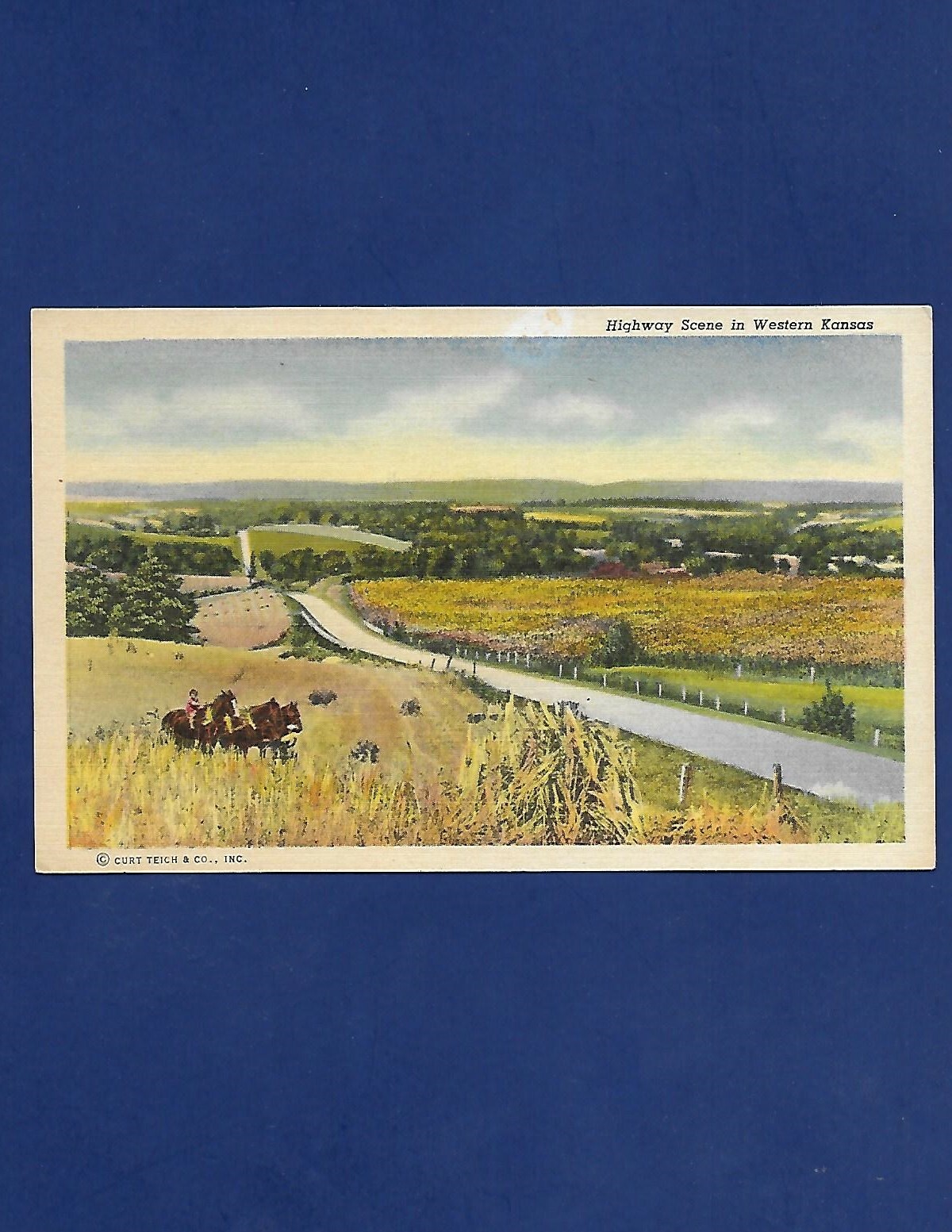 VINTAGE POSTCARD PANORAMIC HIGHWAY HORSE WESTERN KANSAS VINTAGE POSTCARD PANORAMIC HIGHWAY HORSE WESTERN KANSAS