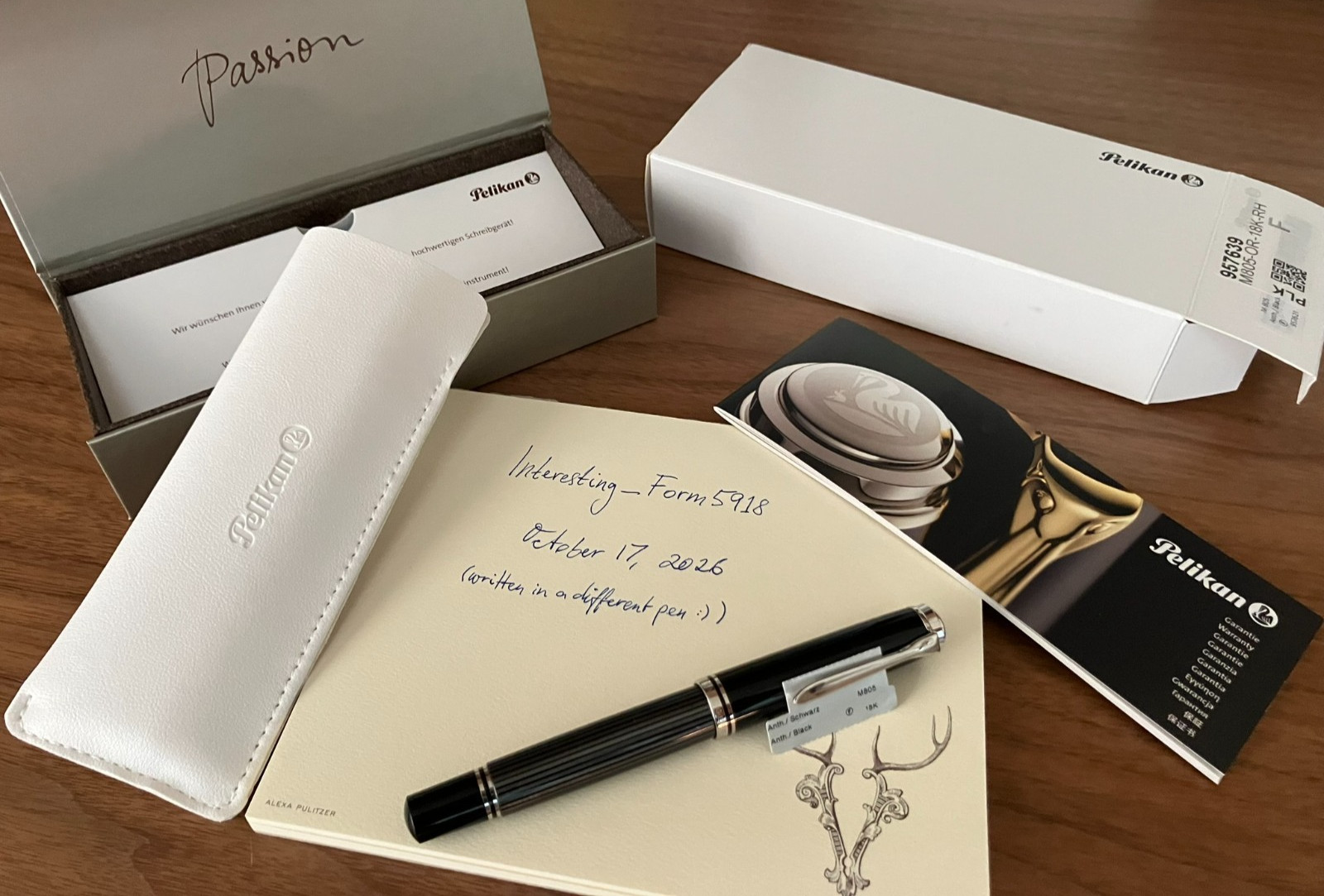 Pelikan Souveran M805 Stresemann fountain pen,  F 18K Rhodium, dipped once