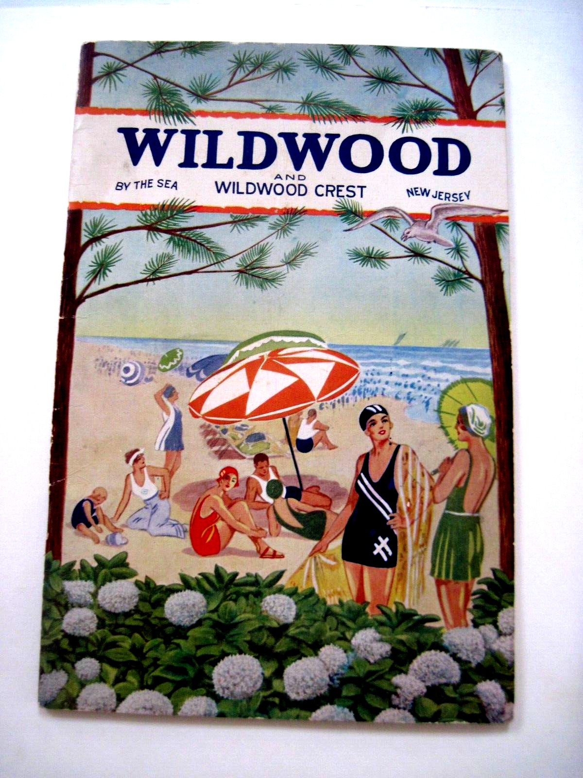 1930 RARE Booklet 1930 RARE Booklet