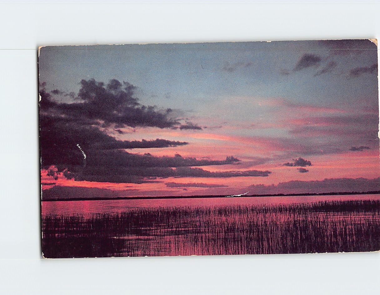 Postcard A Roseate Sky