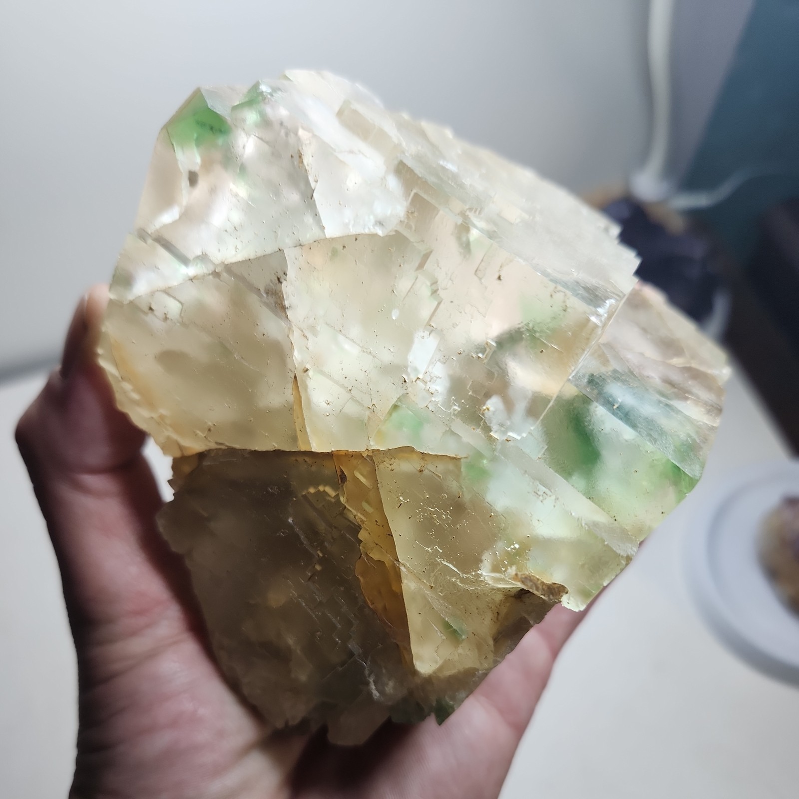 Large Green Phantom Fluorite Crystal Peñas Blancas Mine, Columbia Museum cabinet