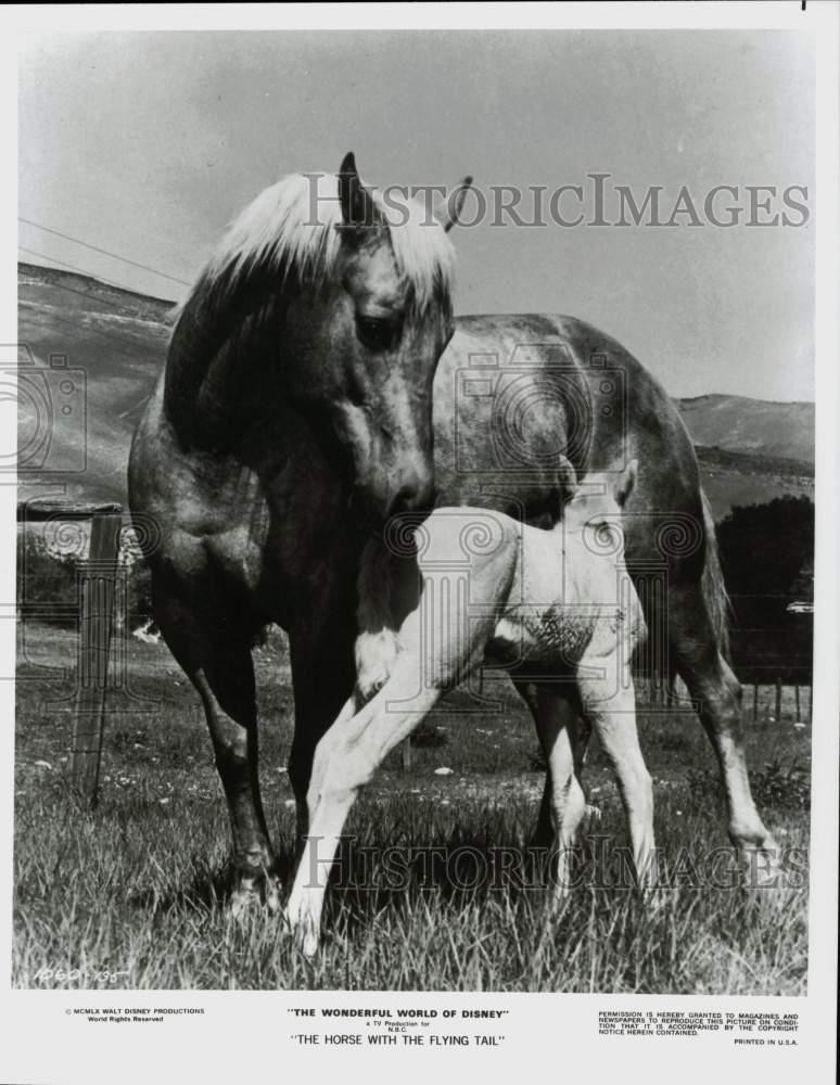 1977 Press Photo \