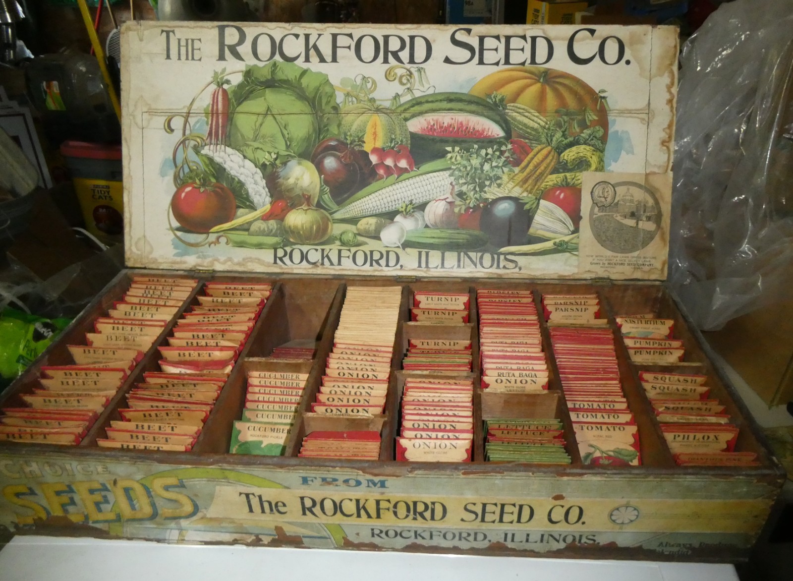 Antique  Rockford Seed Co  Wood Box Store Display  FULL of Seeds 1910 or earlier