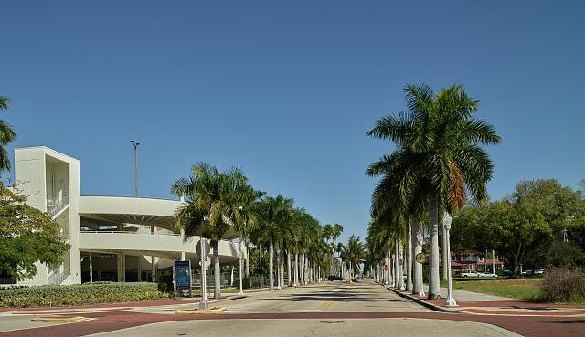 Photo:Fort Myers Florida 2000s Palm Tree Boulevard Streetscape Roadway