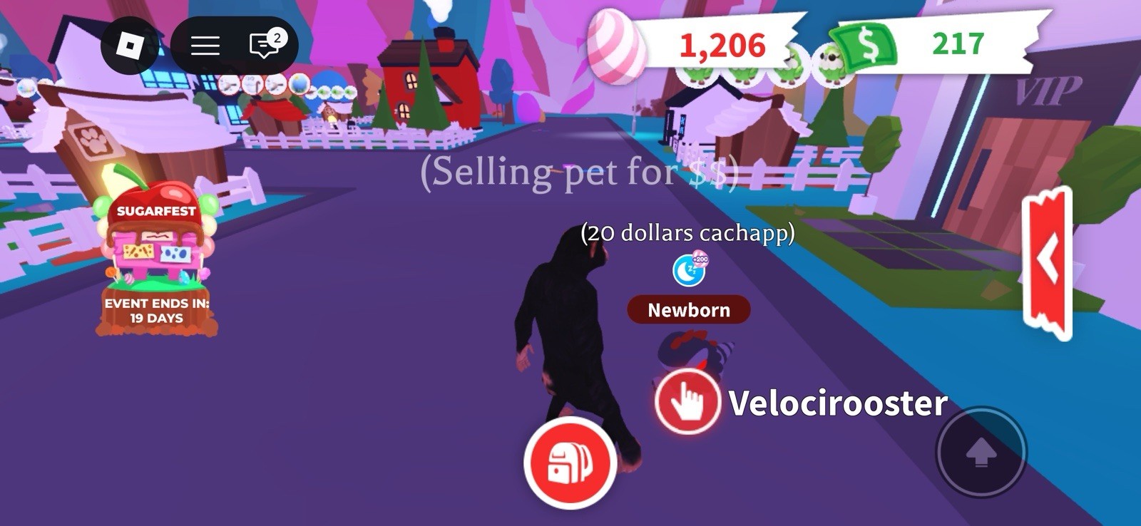 Adopt Me Velocirooster Newborn Virtual Pet In-Game Item Asset for Adopt Me
