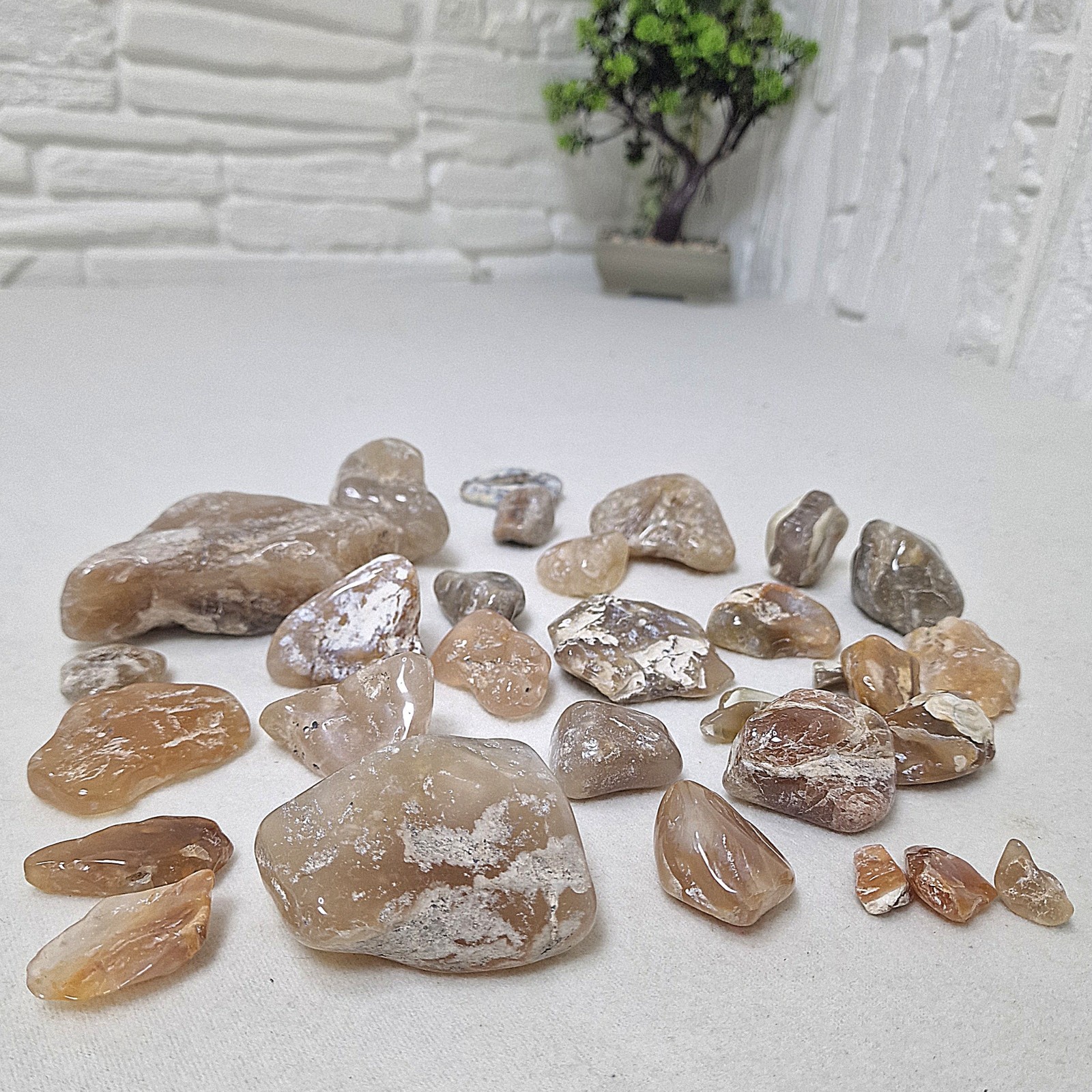 Carnelian Agate Chalcedony Natural Polished Stones Crystal Mineral Collection