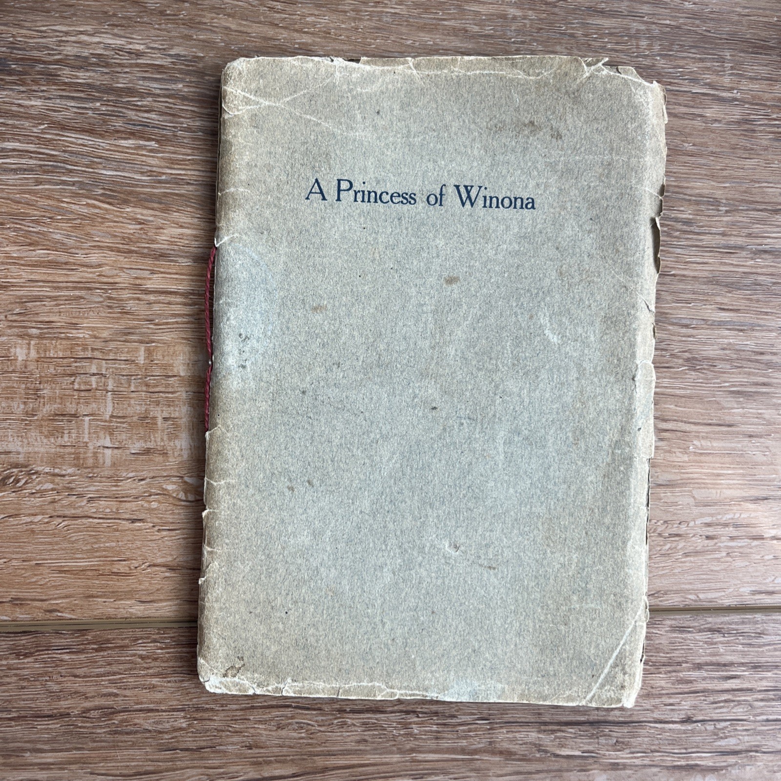 Winona Lake In.Princess Of Winona RARE Indiana Paperback 1906 By L. McPhetridge Winona Lake In.Princess Of Winona RARE Indiana Paperback 1906 By L. McPhetridge