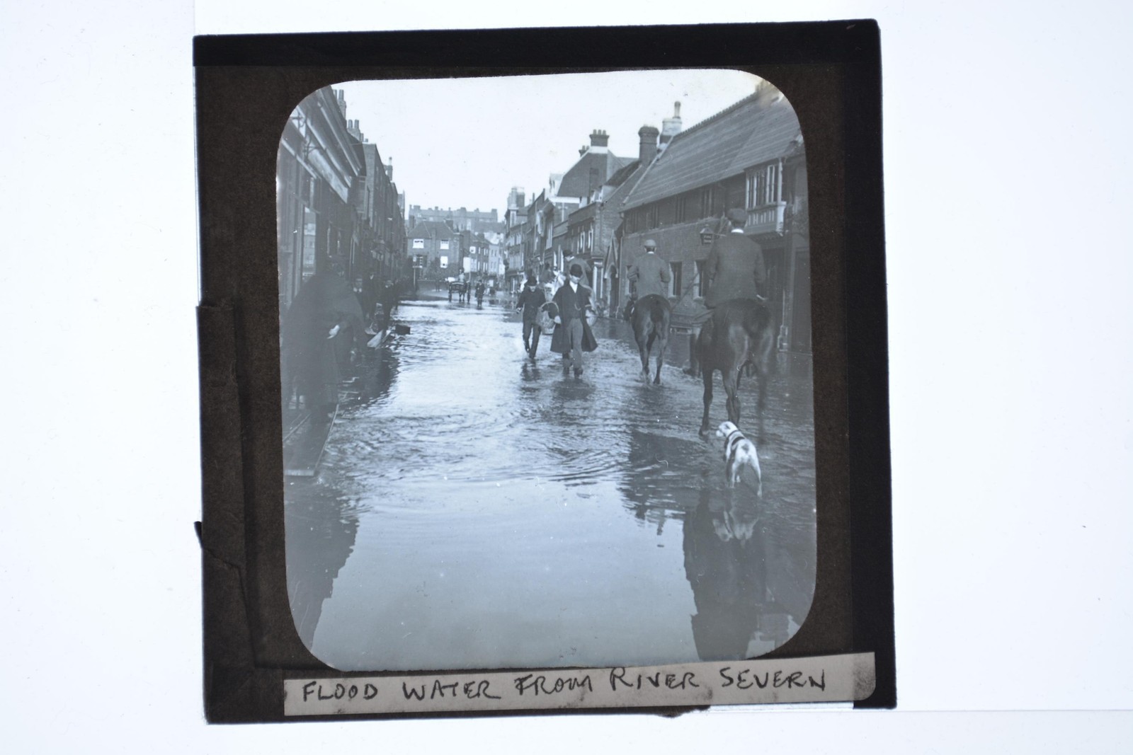 Flood Water River Severn Street Scene Horses Dog Lantern Slide c1900s