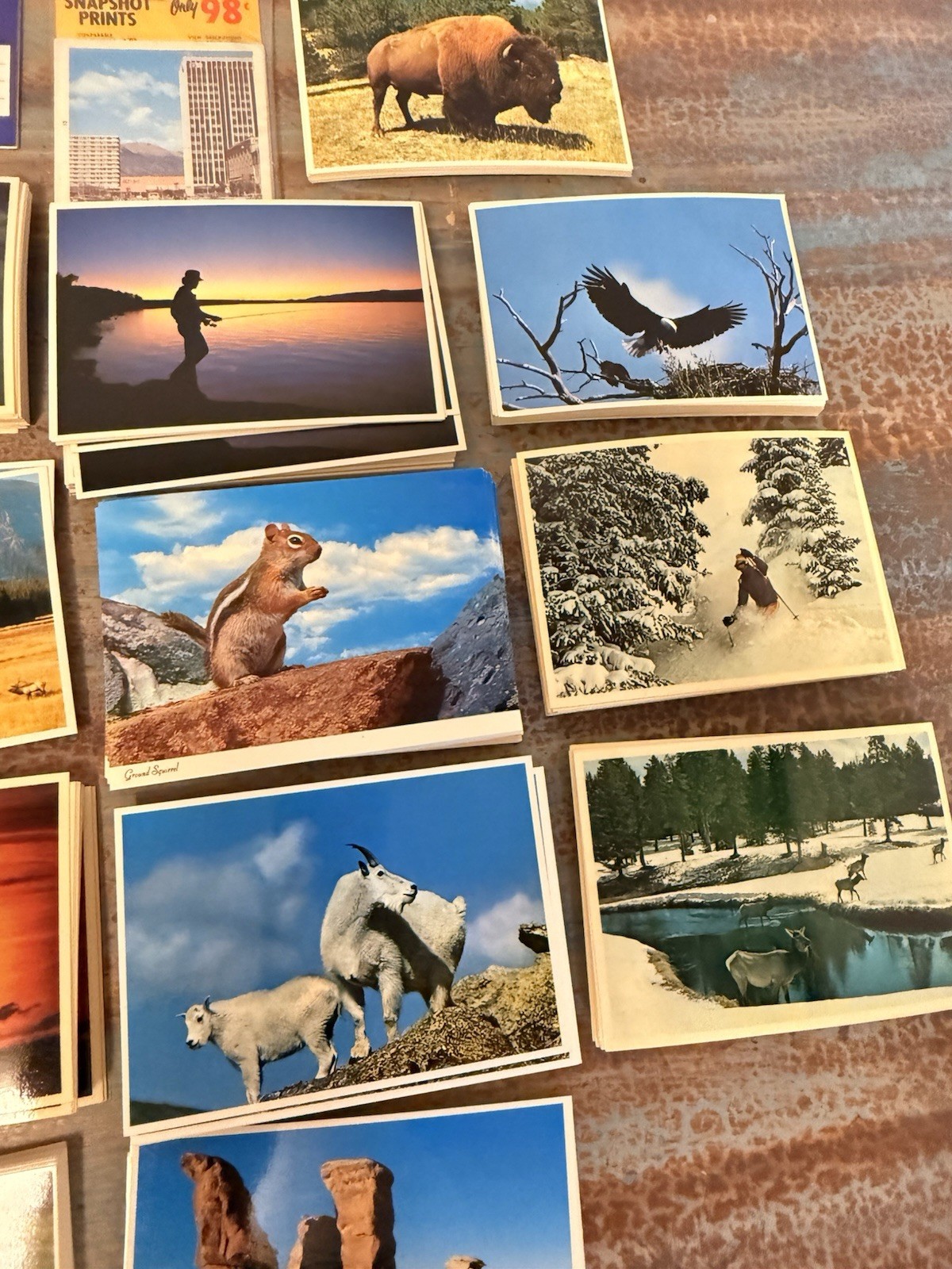 Vintage Western Postcard Lot 1970s & Earlier NOS Landscape Wildlife Scenic