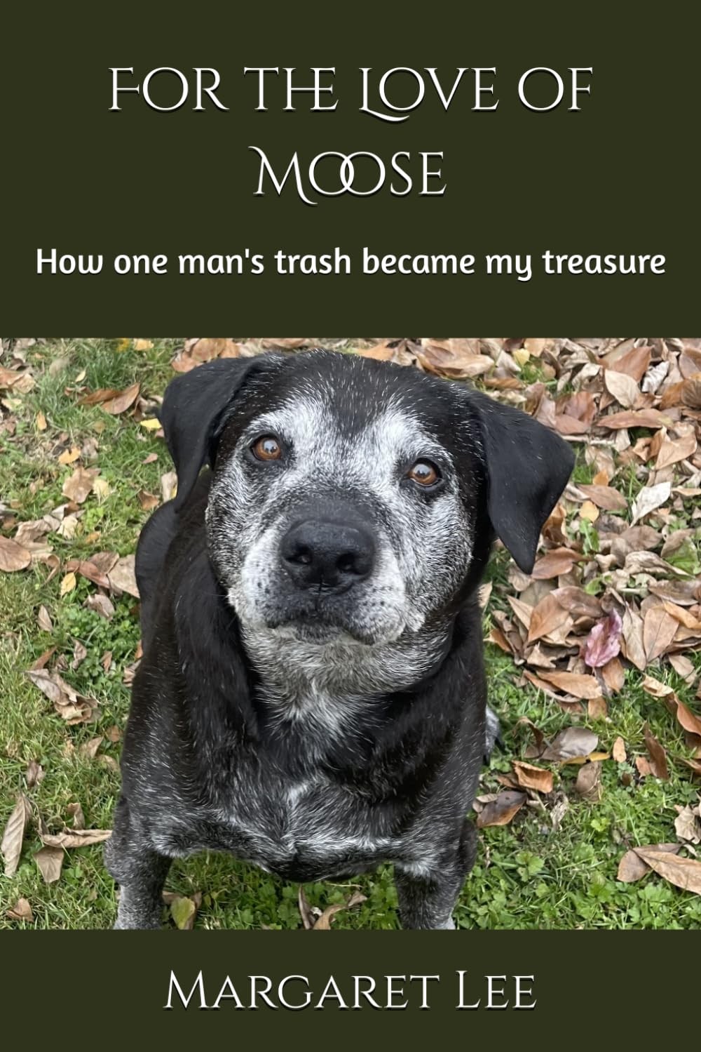For the Love of Moose: How one man's trash became my treasure For the Love of Moose: How one man's trash became my treasure