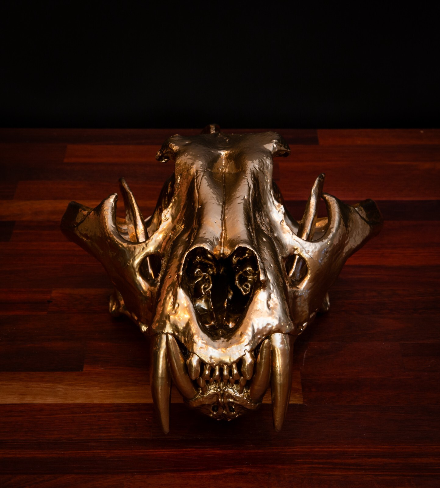 Golden Tiger Skull Replica - Life Size Anatomical Display - Museum Quality Golden Tiger Skull Replica - Life Size Anatomical Display - Museum Quality