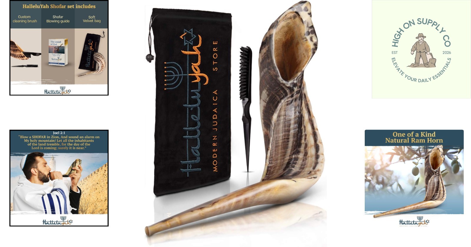 Elegant Handcrafted Shofar 14\ Elegant Handcrafted Shofar 14\
