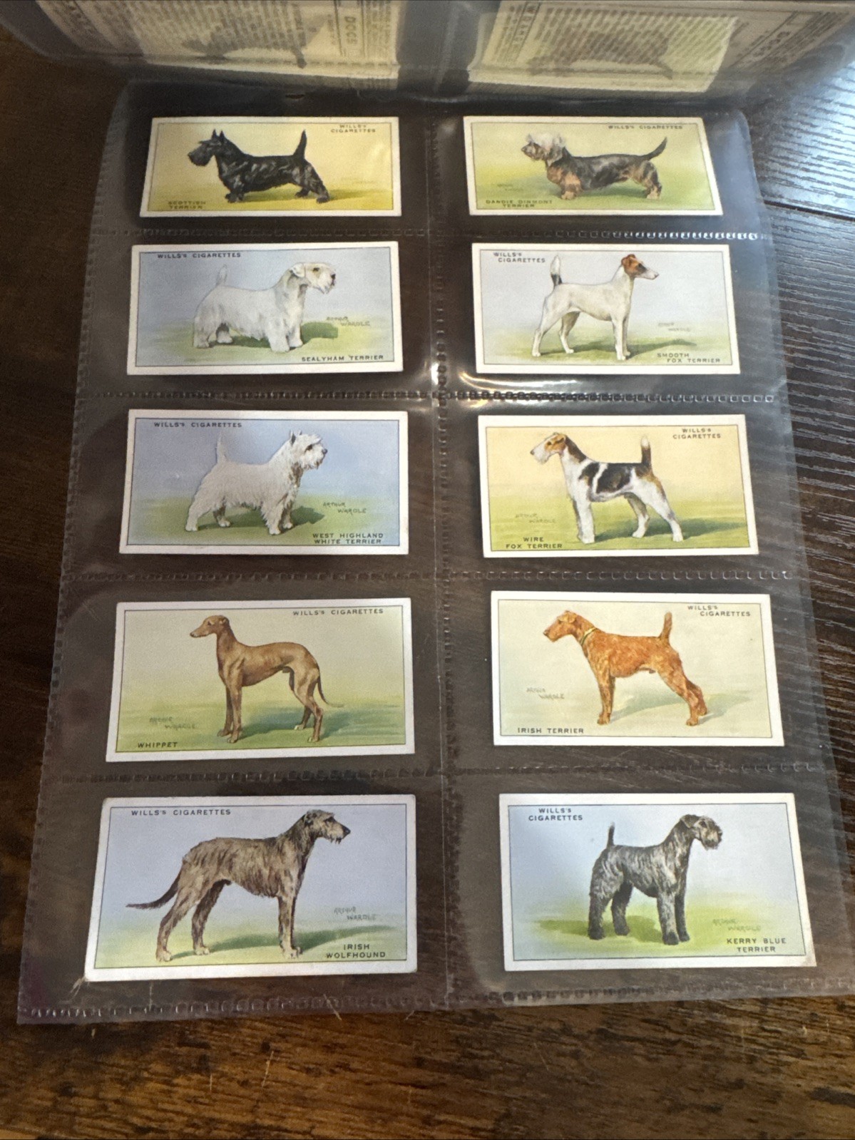 Vintage 1937 Wills “Dogs” Complete 50 Card Tobacco Card Set Terrier Bulldog Vintage 1937 Wills “Dogs” Complete 50 Card Tobacco Card Set Terrier Bulldog