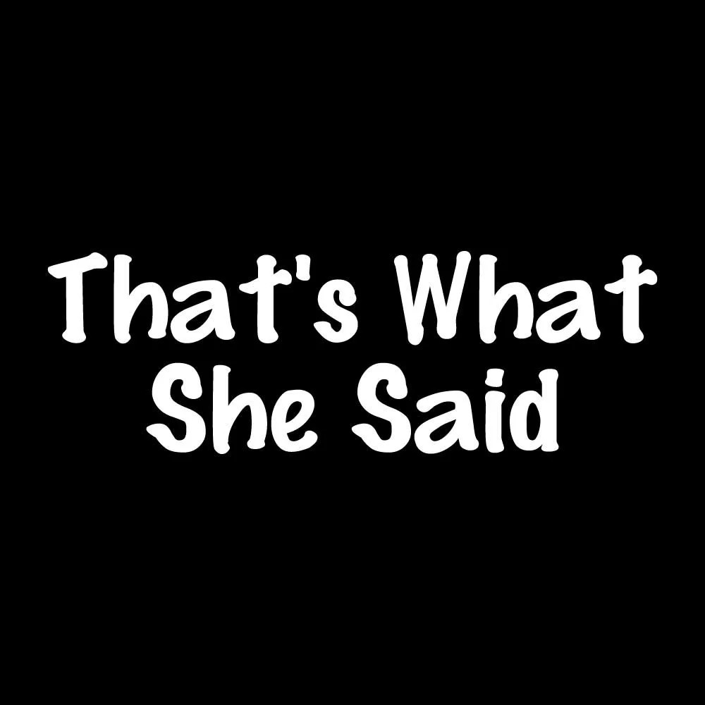 That’s What She Said Decal Sticker White Die Cut Vinyl