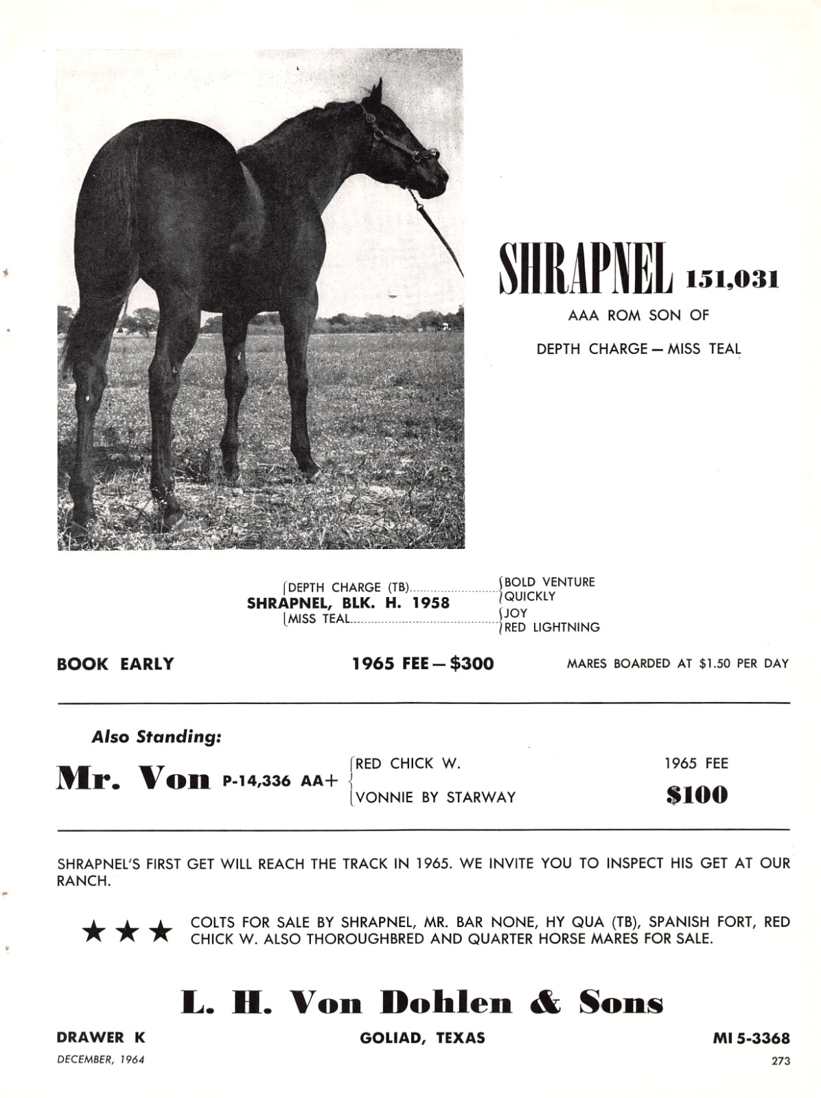 Shrapnel L H Von Dohlen Sons Goliad Texas Quarter Horse 1964 Vintage Magazine Ad