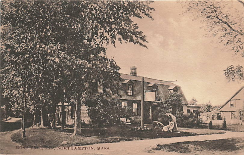 Postcard MA: Rose Tree Inn, Northampton, Massachusetts DB Postcard MA: Rose Tree Inn, Northampton, Massachusetts DB