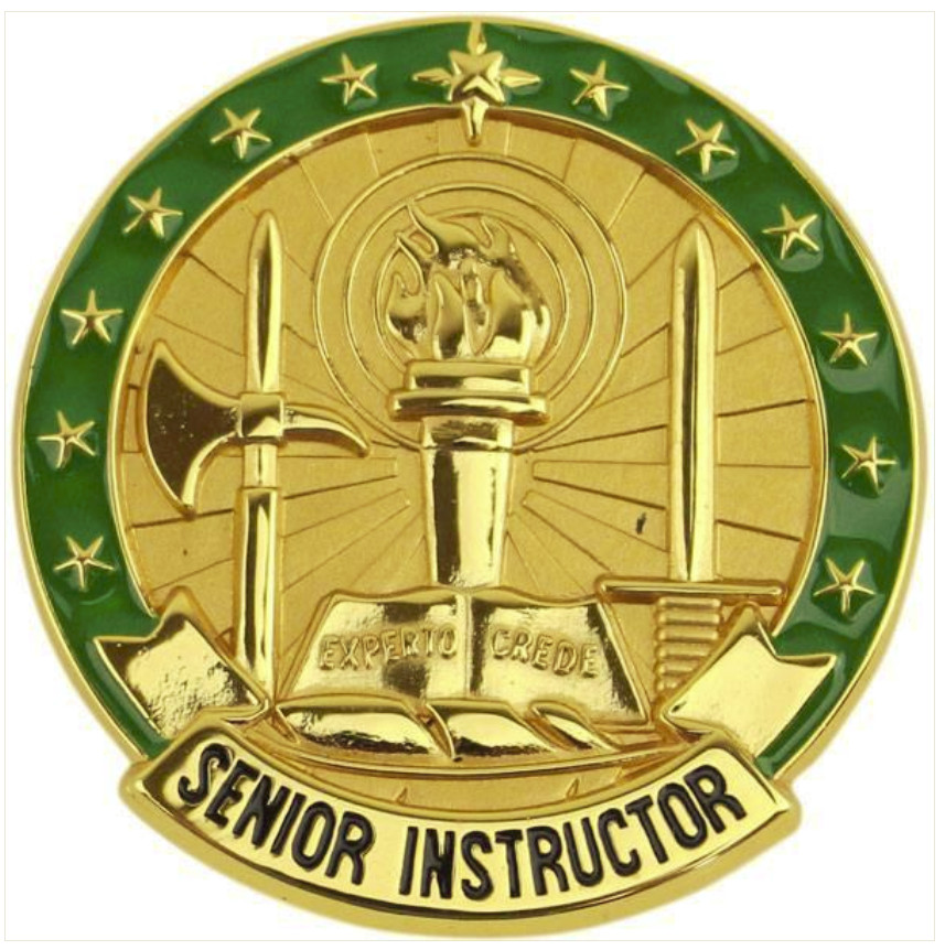 Vanguard ARMY IDENTIFICATION BADGE: SENIOR INSTRUCTOR - GOLD
