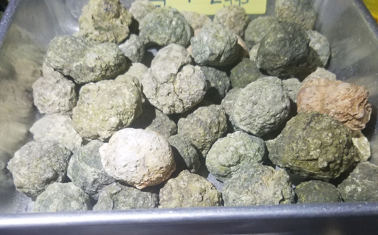 1960s-1990s Old Stock 2lb Lot Thundereggs 25-35 Oregon Rough Ochocos Agate Geode 1960s-1990s Old Stock 2lb Lot Thundereggs 25-35 Oregon Rough Ochocos Agate Geode
