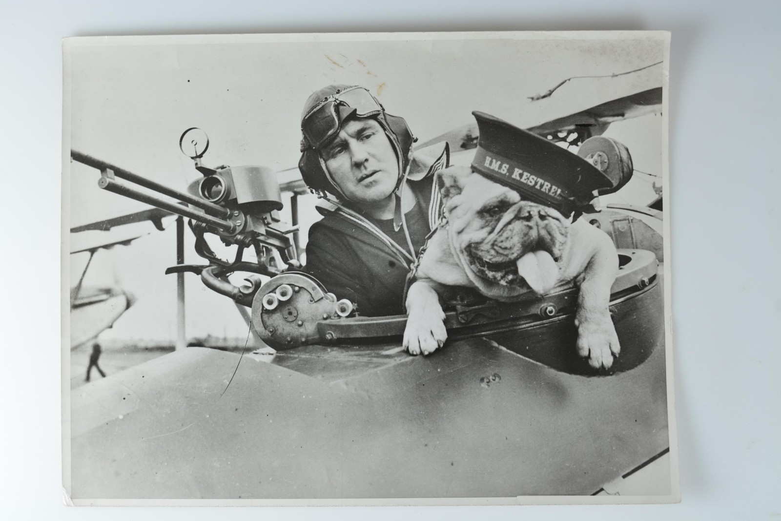 Airman Bulldog Mascot HMS Kestrel Aircraft Cockpit Wide World c1940s VTG Photo