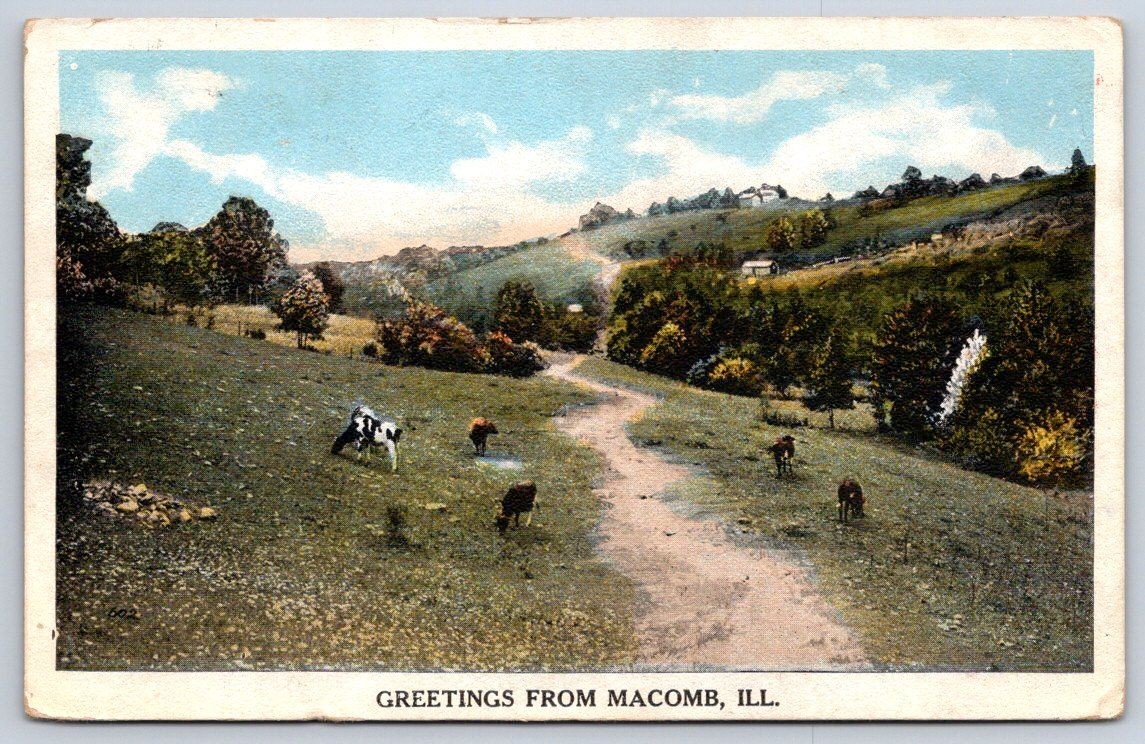 Antique Illinois Postcard MACOMB Rural Scene Cows Hillside 1920