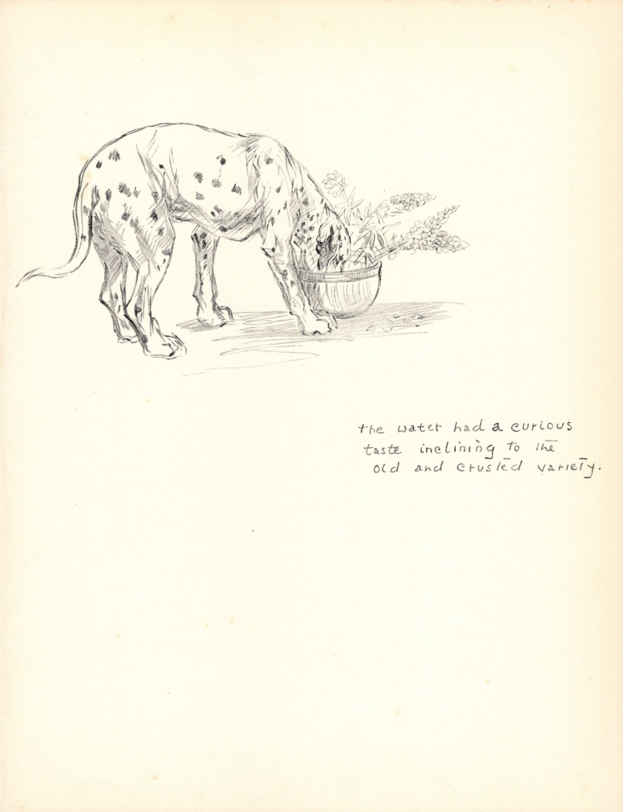 1935 Antique Kathleen Barker Dalmatian Print Dalmatian Art Illustration 6914h