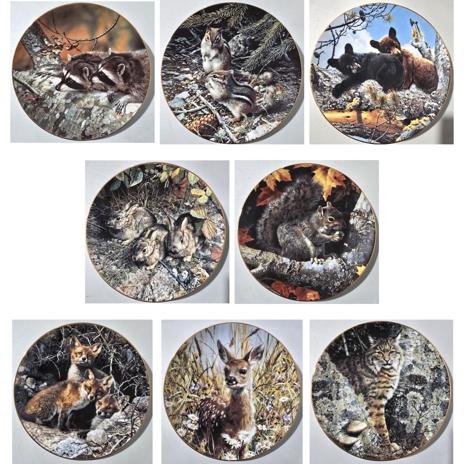 W.S. George Our Woodland Friends Complete 8 Plate Set Boxes COA\'s Carl Brenders