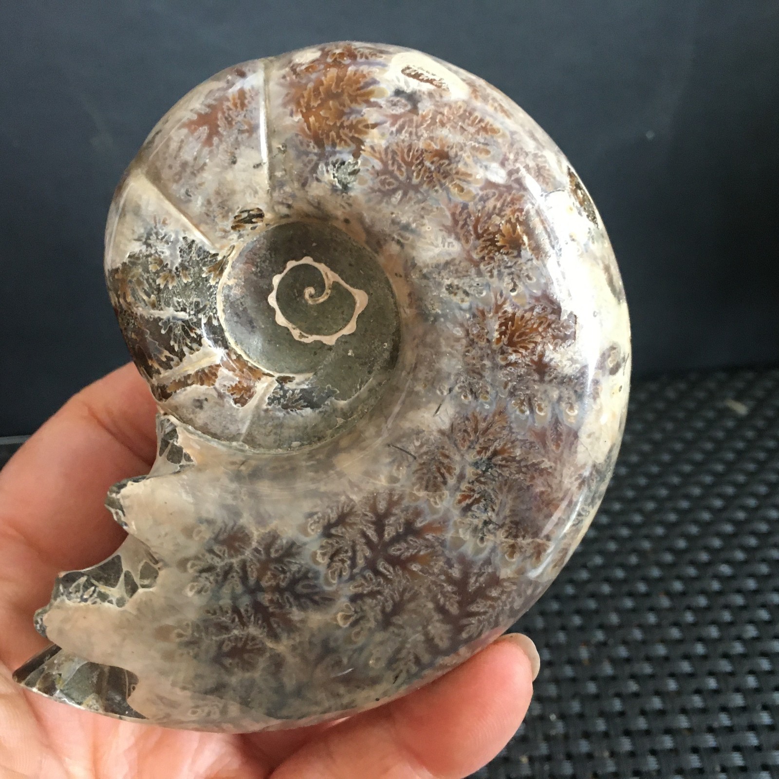 262g natural beautiful polishing Stone sculptor decoration fb1380