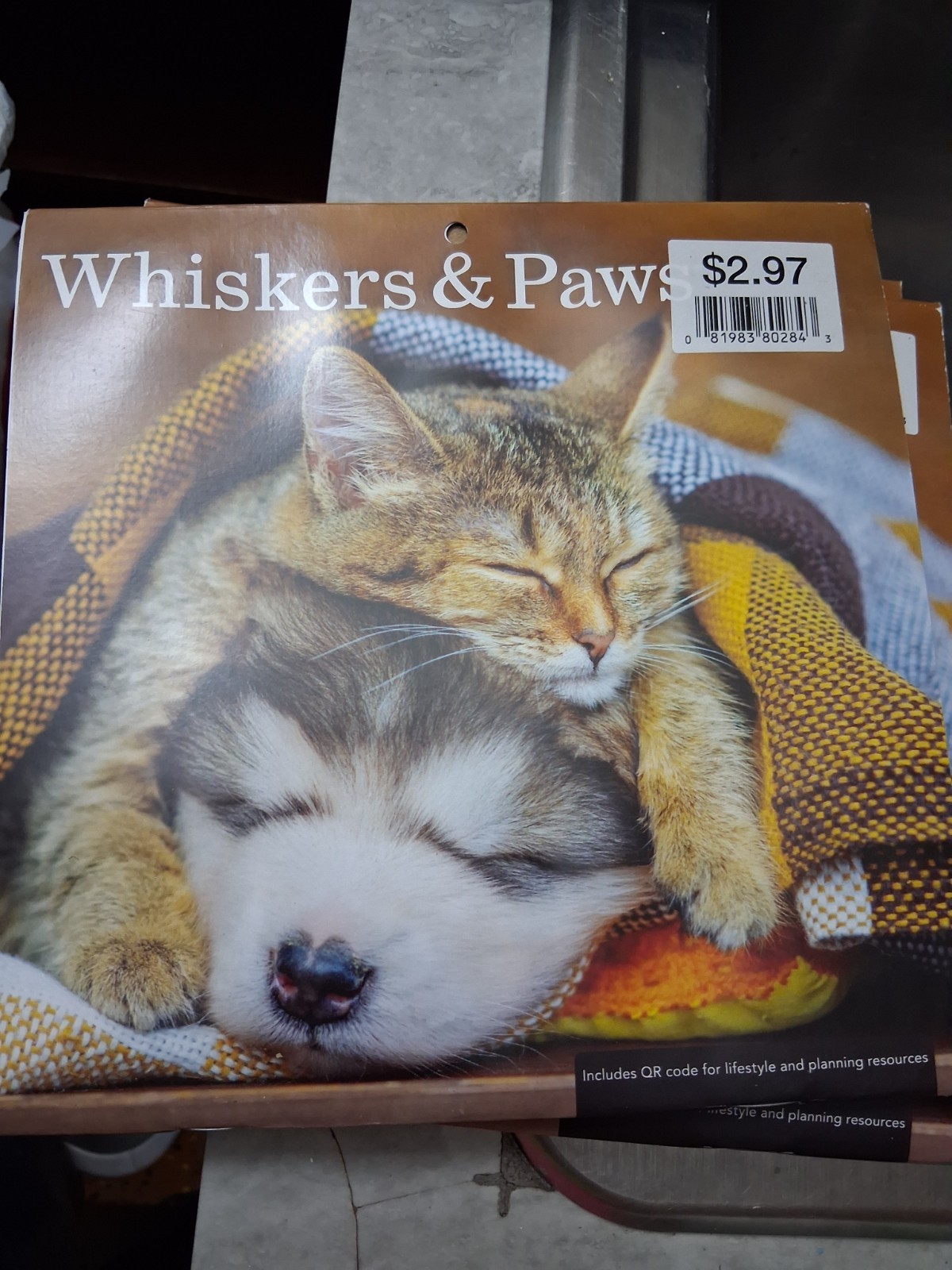small wall calendar 2026