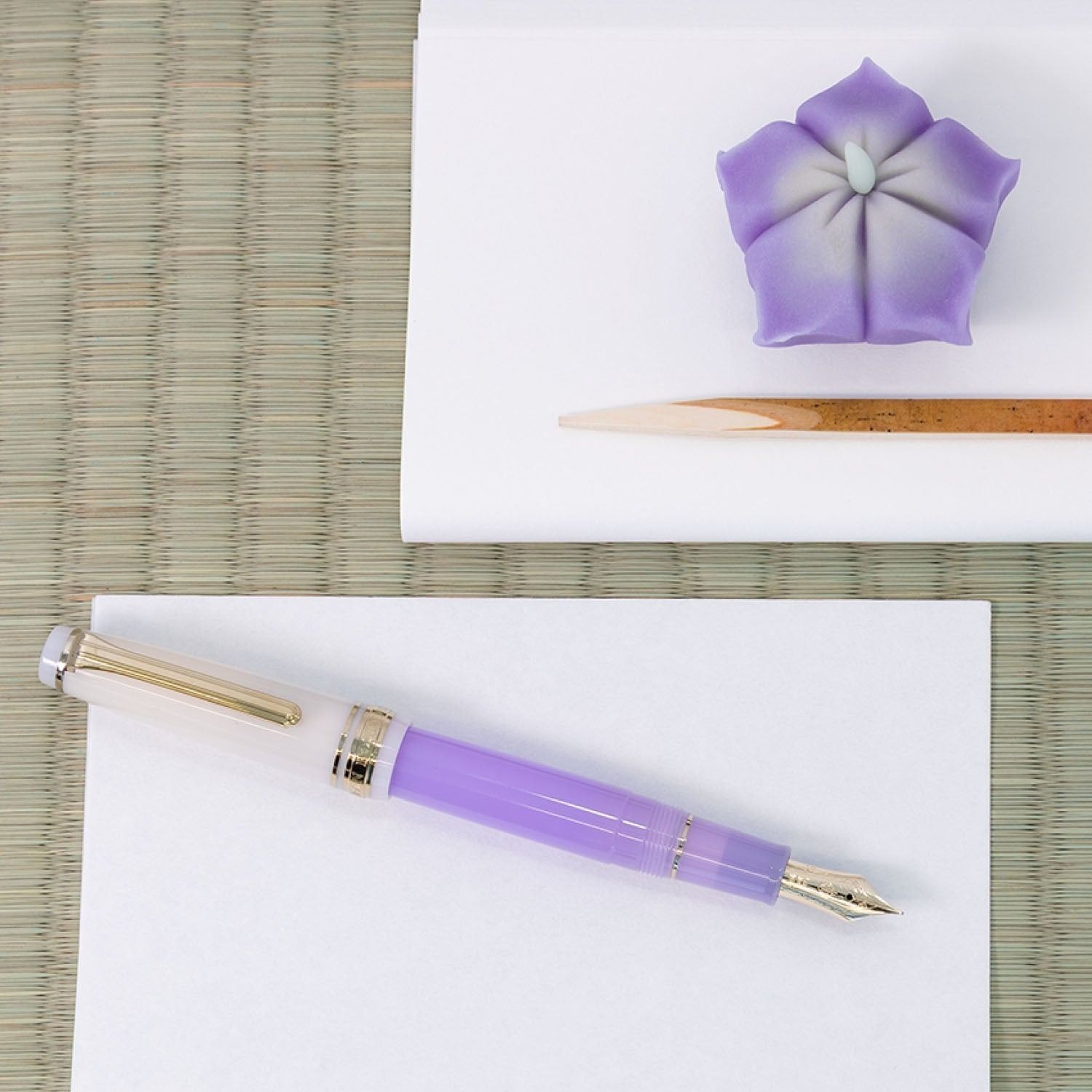 [New] Sailor World Tea Time Chanoyu Nerikiri MF Fountain Pen Bottle Ink Set