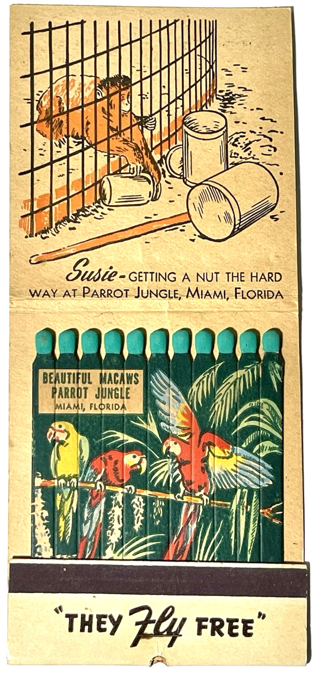 RARE MIAMI, FL 1940\'S- MACAWS, PARROT JUNGLE, GIANT \ RARE MIAMI, FL 1940\'S- MACAWS, PARROT JUNGLE, GIANT \
