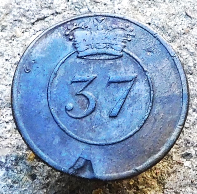 Pewter British  37th Regiment Button