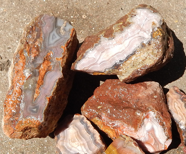 Laguna Agate Cabbing rough Laguna Agate Cabbing rough