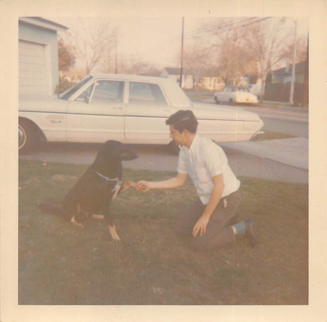 1966 Young Man Shaking Hands Doberman Puppy Dog 1960s Photo Plymouth Fury Grass