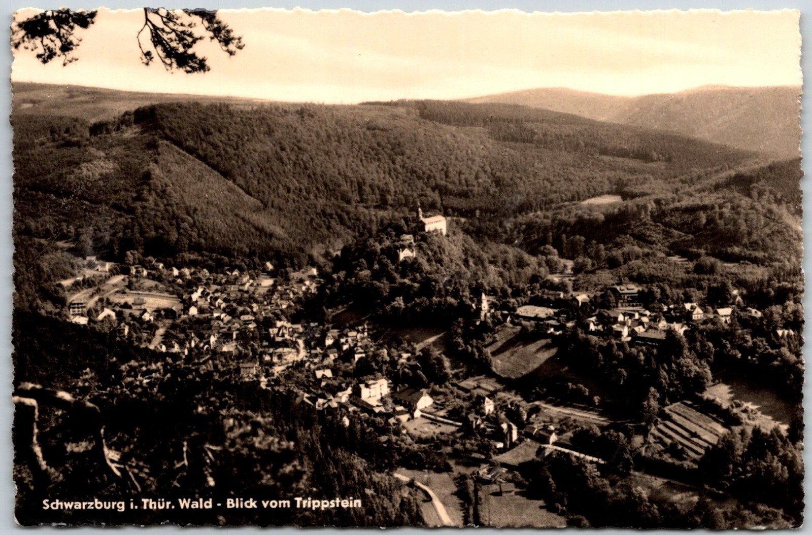 Aerial View Schwarzburg Thuringian Forest Germany Hills Village RPPC Postcard
