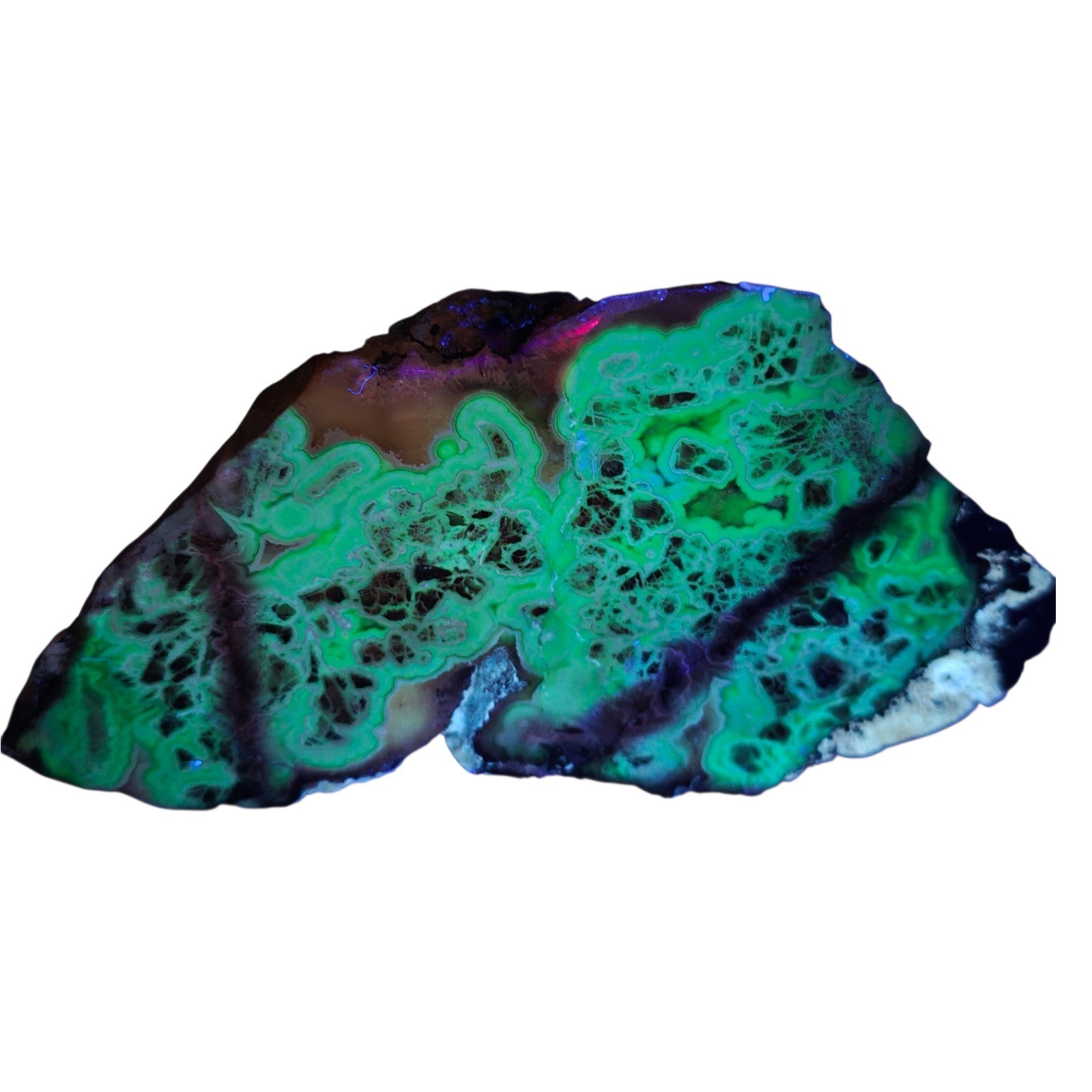Flor de Duranzo Mexico Peach Flower Agate 9.1 oz Cut & Face-Polished UV Green 