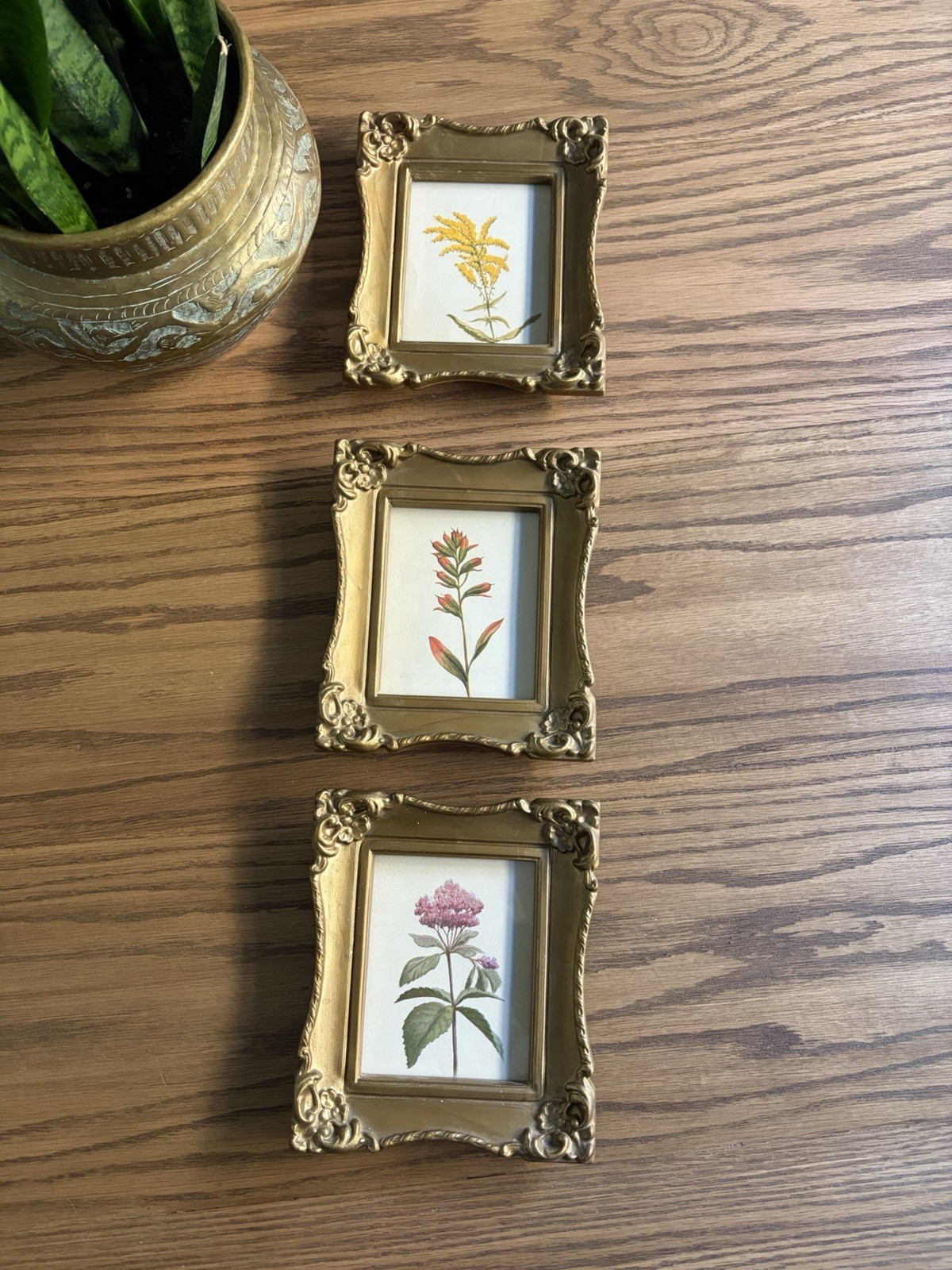 Vintage Framed Botanical Art Set Of 3 Faux Wood Ornate Gold Frames Floral Art