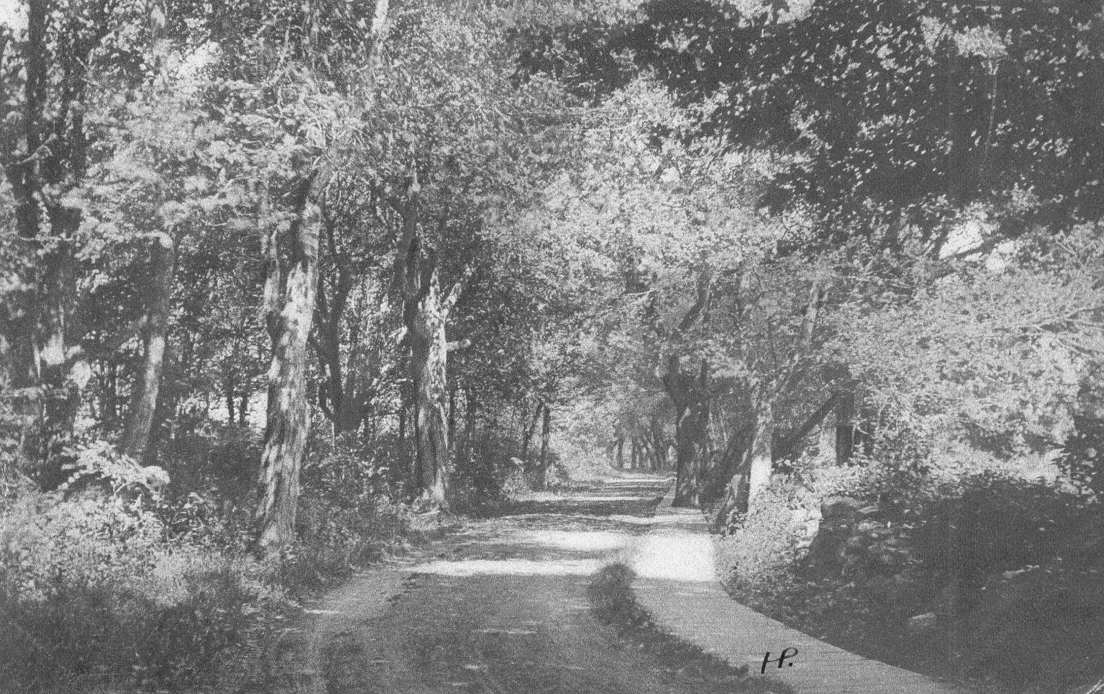 Mass, South Yarmouth Postcard Antique 1907 Country Street Scene RPPC Real PhotoN