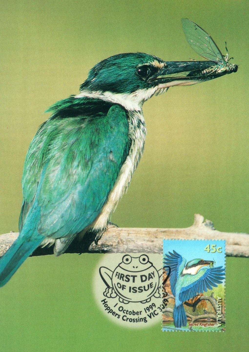 1999 Aust. Sacred Kingfisher POSTCARD Maxi card Cancelled Hoppers Crossing VIC