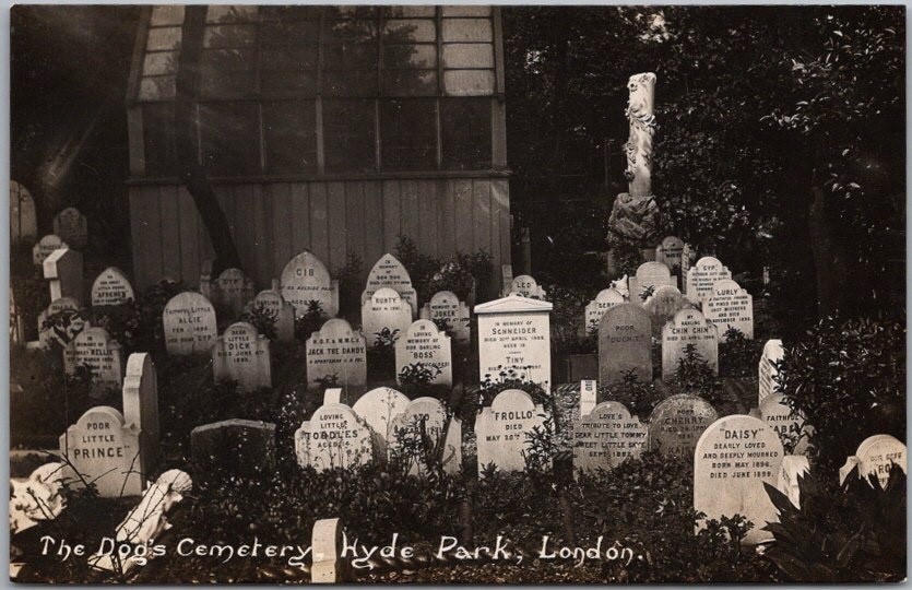 c1910s LONDON, England Real Photo RPPC Postcard HYDE PARK \