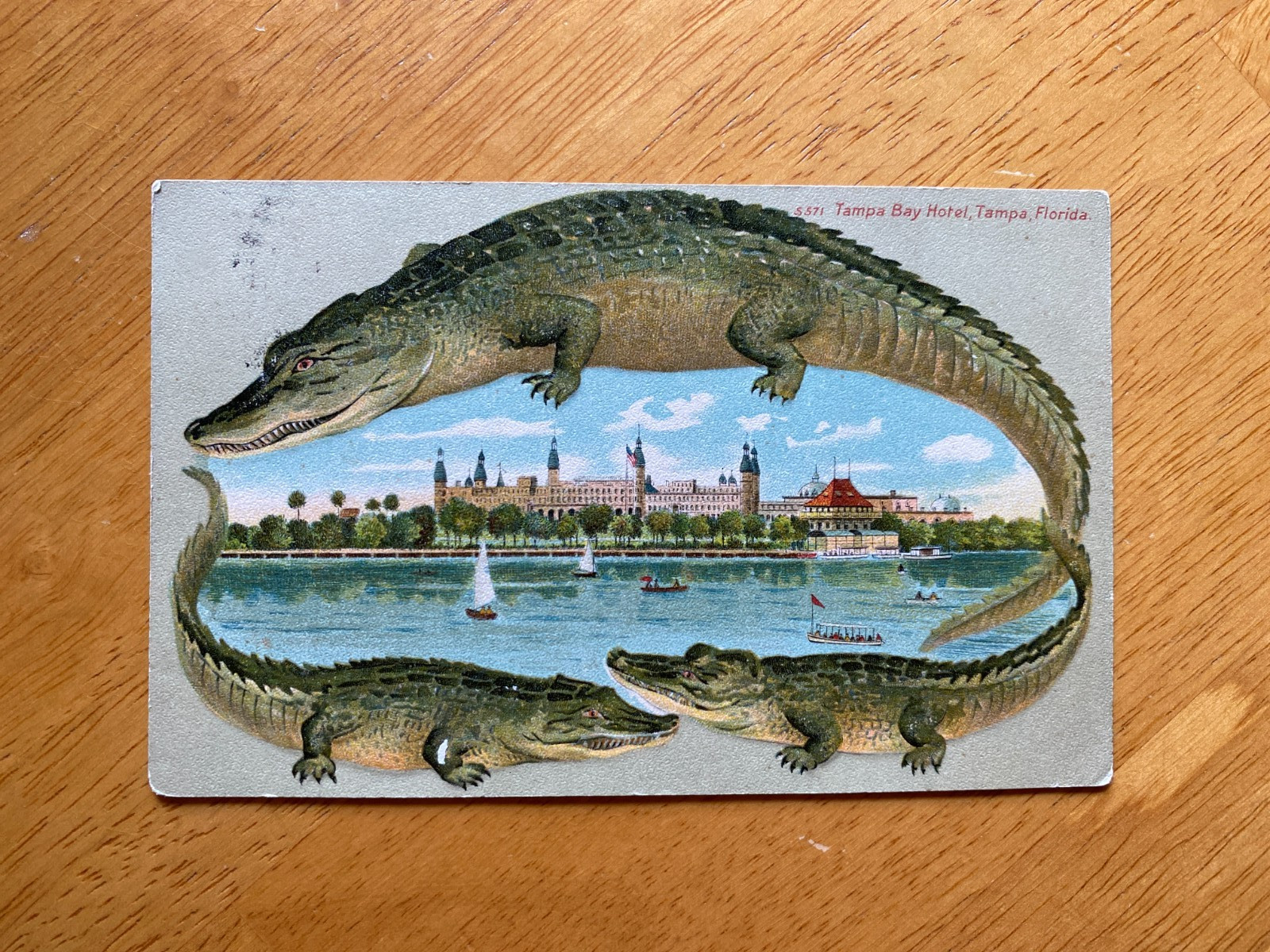 RARE ALLIGATOR BORDER Langsdorf S 571 Tampa Bay Hotel Tampa FL. OLD ONE STAMP