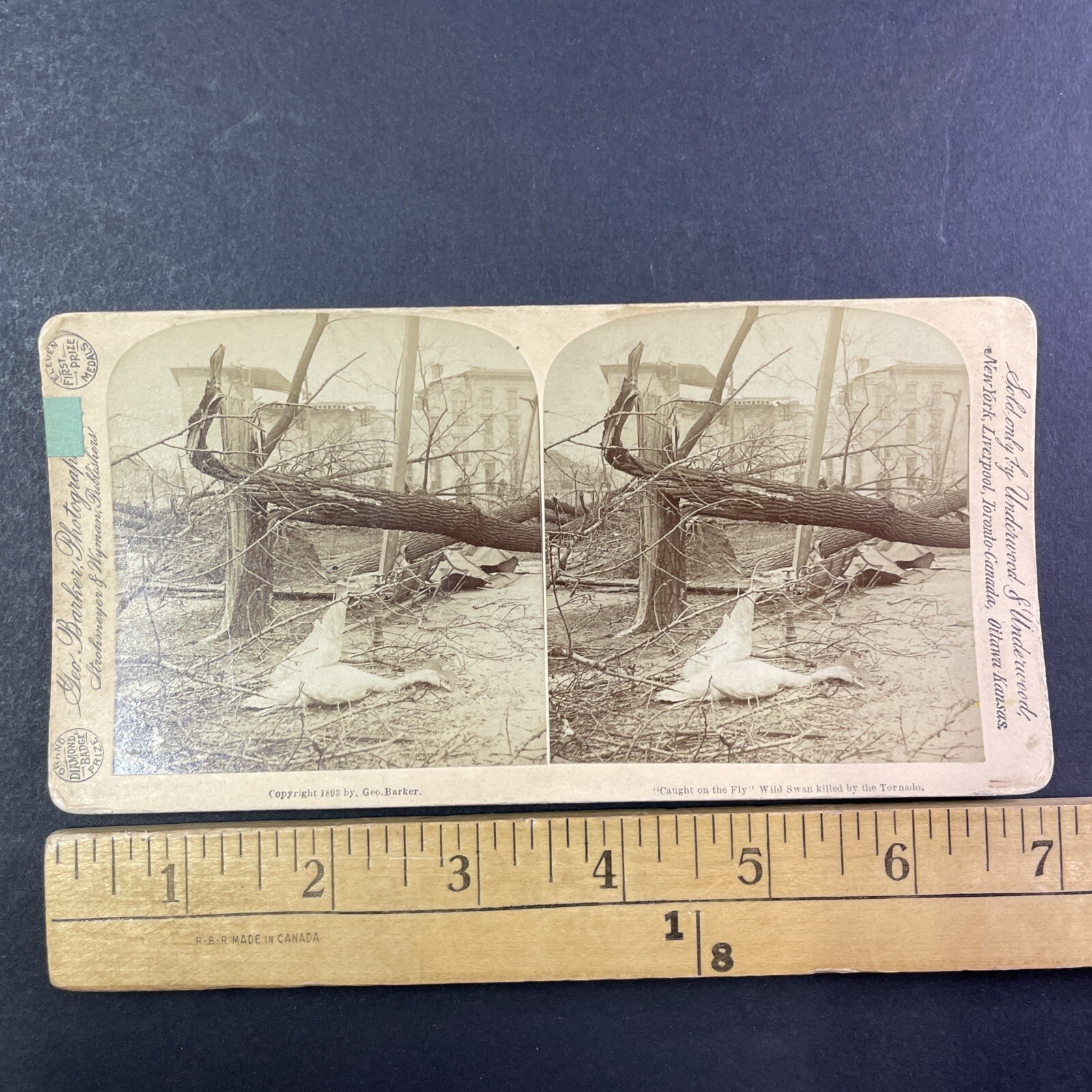 Louisville Tornado Stereoview Geo. Barker 1893 Dead Swan Disaster Louisville Tornado Stereoview Geo. Barker 1893 Dead Swan Disaster